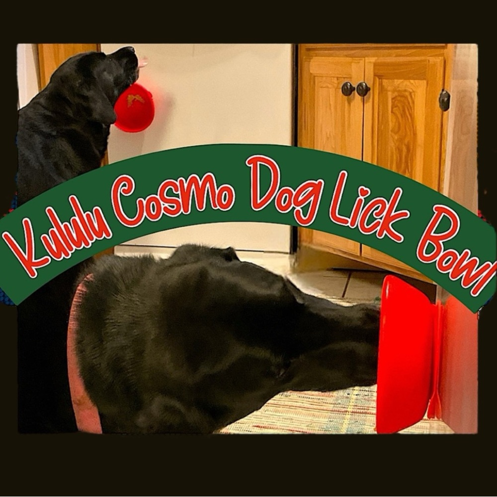 Kululu Cosmo Rubber Dog Lick Bowl